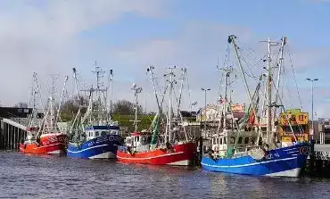 Krabbenfischer im Hafen Wilhelmshaven
