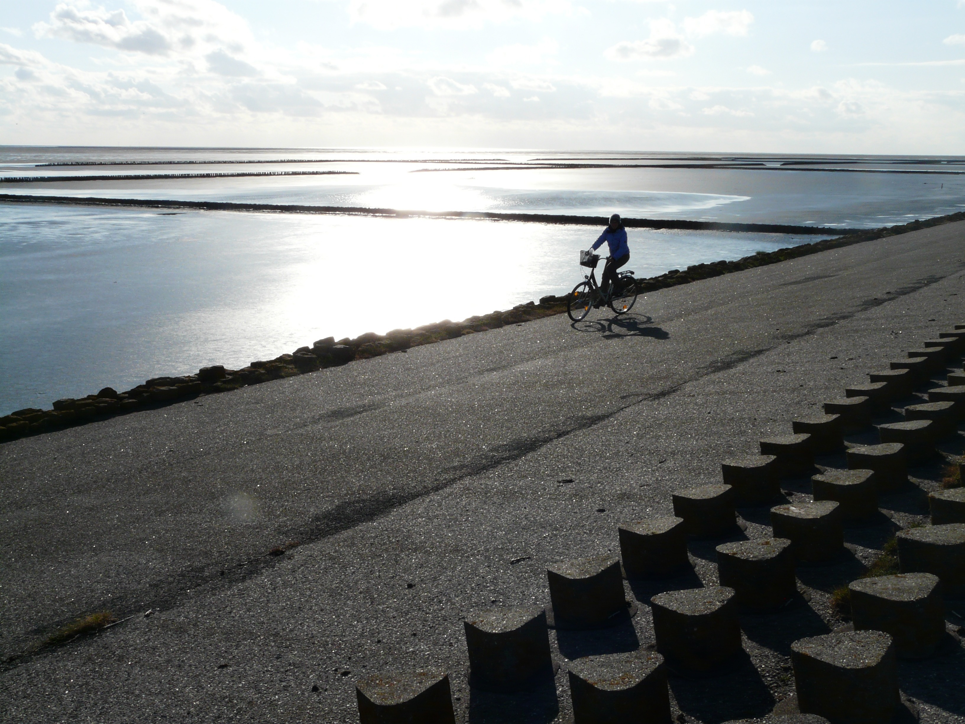 Fahrradtour am Deich bei Wilhelmshaven an der Nordsee